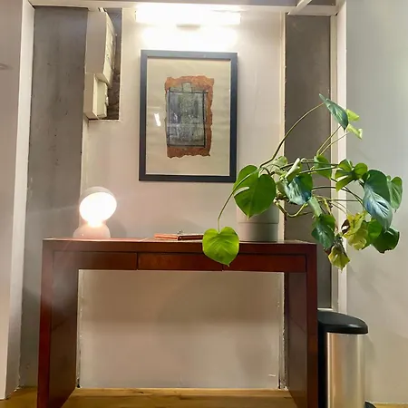 Loft Moderne & Cosy Terreaux / Croix Rousse - Courts Et Longs Sejours Apartment *