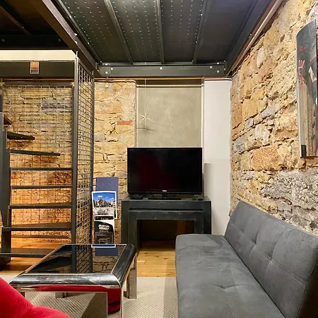 Apartment Loft Moderne & Cosy Terreaux / Croix Rousse - Courts Et Longs Sejours Lyon