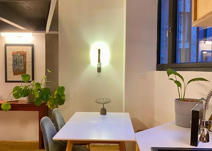 Loft Moderne&cosy Terreaux / Croix Rousse - Courts Et Longs Séjours Appartamento *