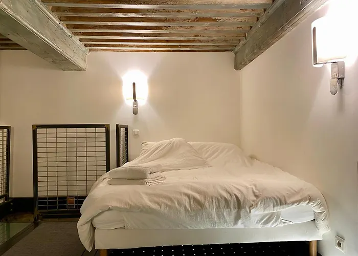 Loft Moderne&cosy Terreaux / Croix Rousse - Courts Et Longs Séjours Appartamento *