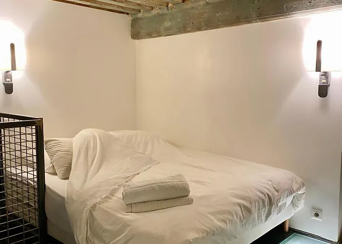Loft Moderne&cosy Terreaux / Croix Rousse - Courts Et Longs Séjours Appartamento *